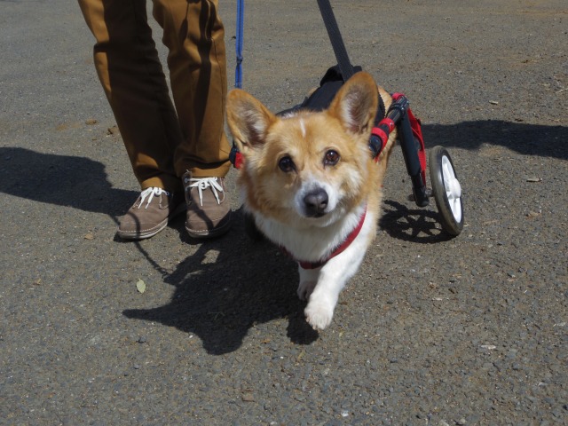 640×480-IMGP3625.jpg