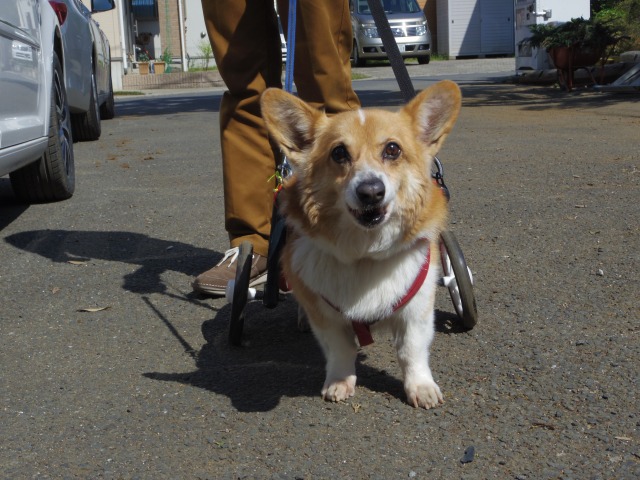 640×480-IMGP3627.jpg