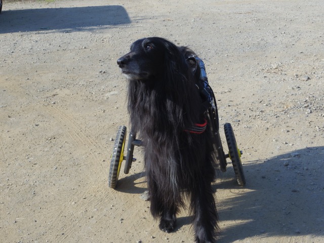 640×480-IMGP3641.jpg