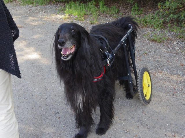 640×480-IMGP3646.jpg