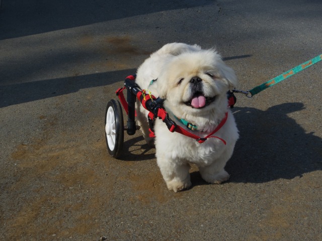 640×480-IMGP3649.jpg