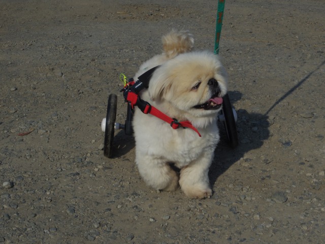 640×480-IMGP3652.jpg