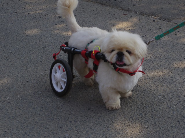 640×480-IMGP3657.jpg