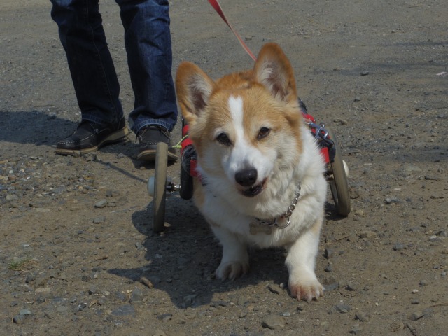 640×480-IMGP3666.jpg