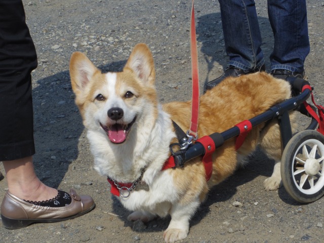 640×480-IMGP3667.jpg