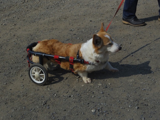 640×480-IMGP3675.jpg