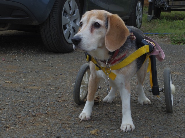 640×480-IMGP3704.jpg