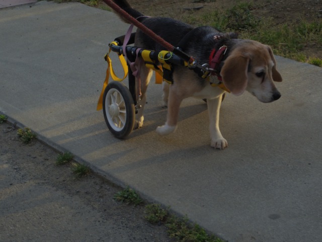 640×480-IMGP3718.jpg