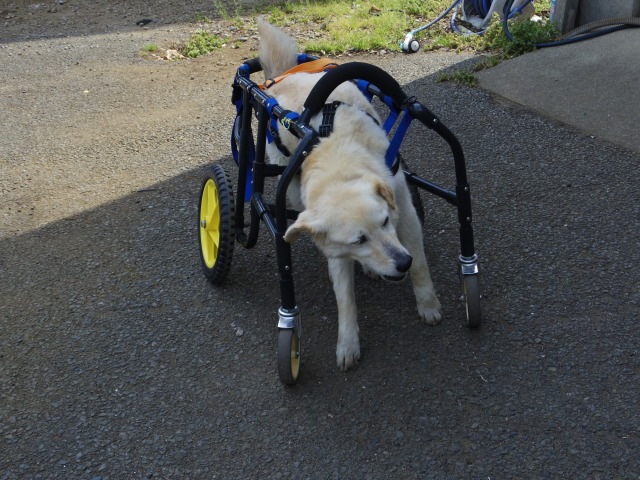 640×480-IMGP3754.jpg