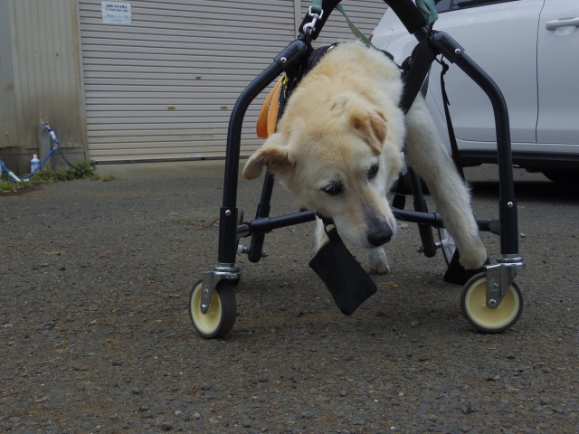 640×480-IMGP3756.jpg