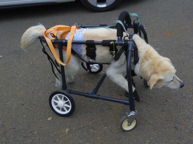 640×480-IMGP3759.jpg
