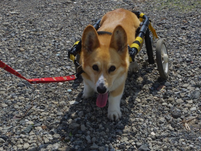640×480-IMGP3770.jpg