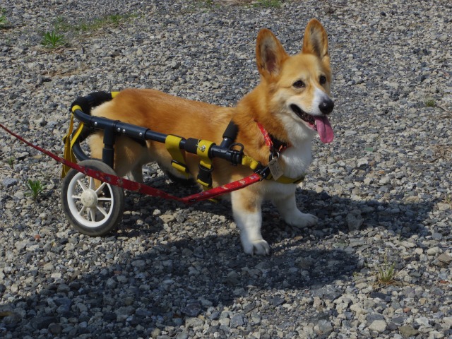 640×480-IMGP3772.jpg