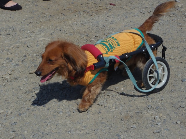640×480-IMGP3807.jpg