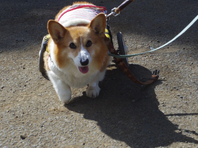 640×480-IMGP3835.jpg