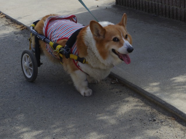 640×480-IMGP3842.jpg