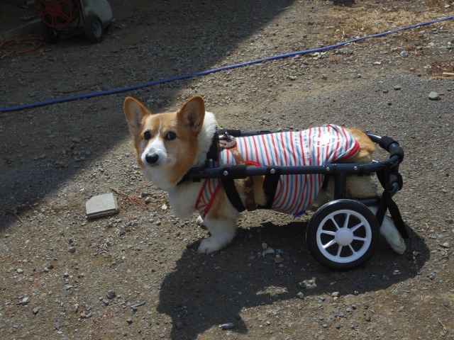 640×480-IMGP3847.jpg