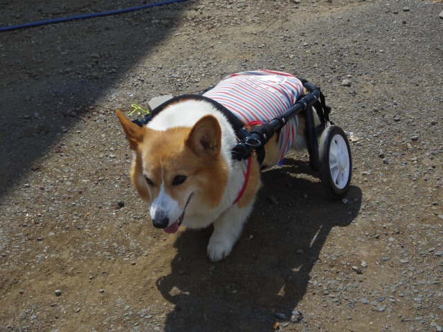 640×480-IMGP3848.jpg