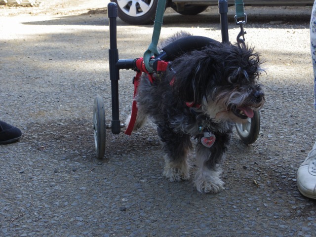 640×480-IMGP3849.jpg