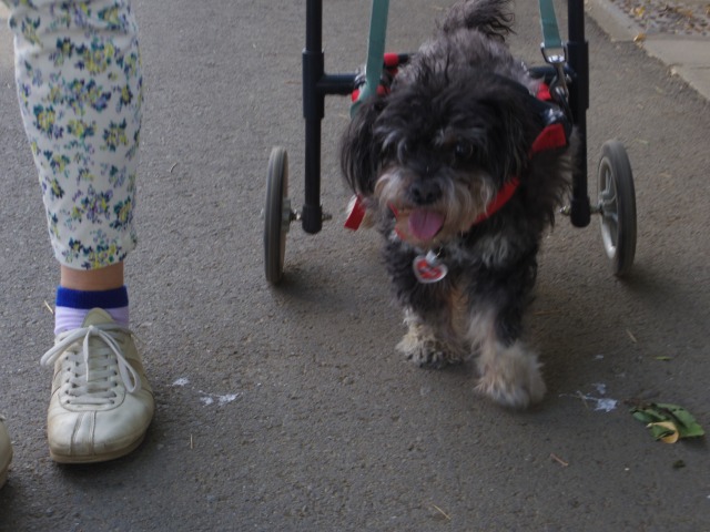 640×480-IMGP3855.jpg