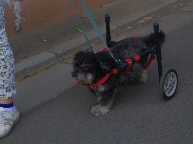 640×480-IMGP3856.jpg
