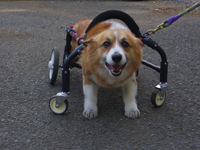 640×480-IMGP3859.jpg