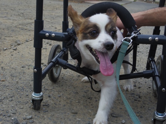 640×480-IMGP3983.jpg