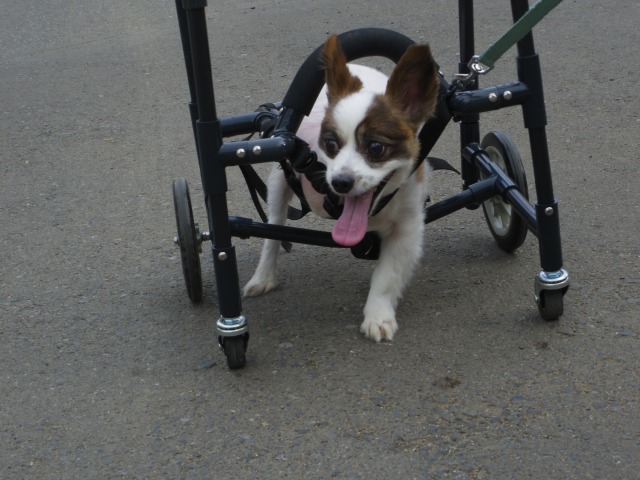 640×480-IMGP3989.jpg