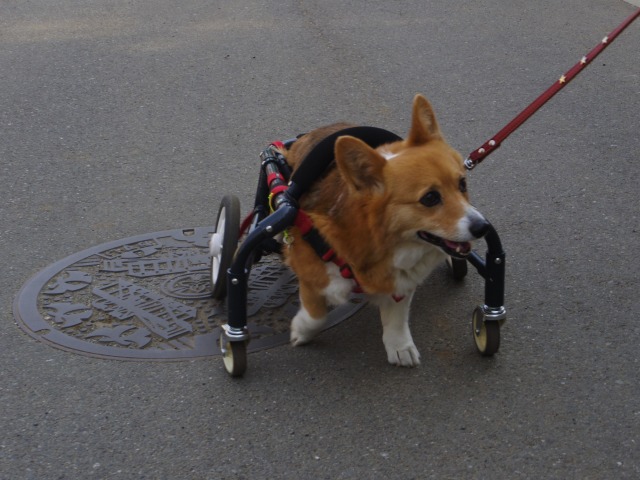 640×480-IMGP3991.jpg