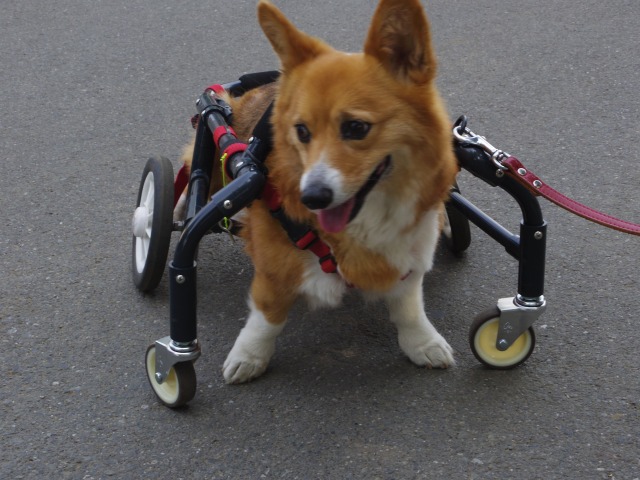 640×480-IMGP3994.jpg