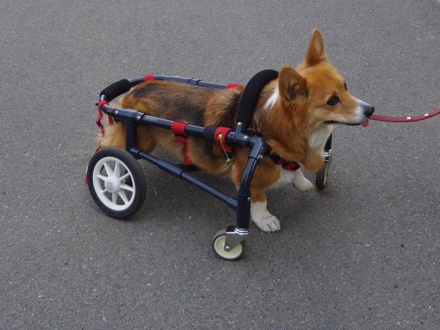 640×480-IMGP3995.jpg