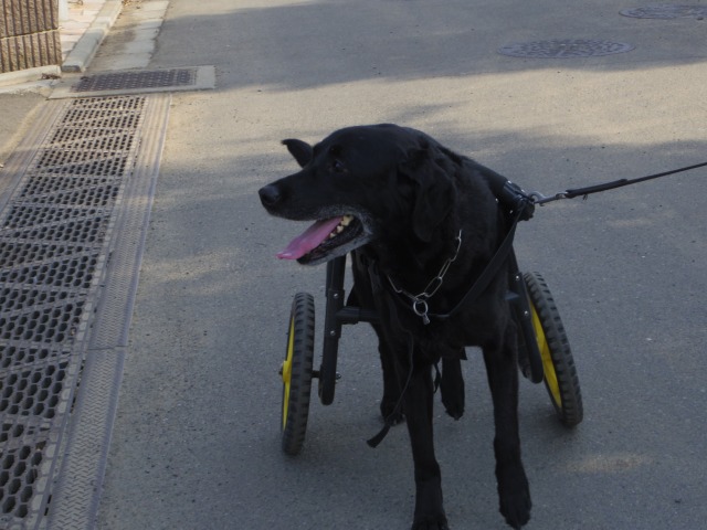640×480-IMGP3998.jpg