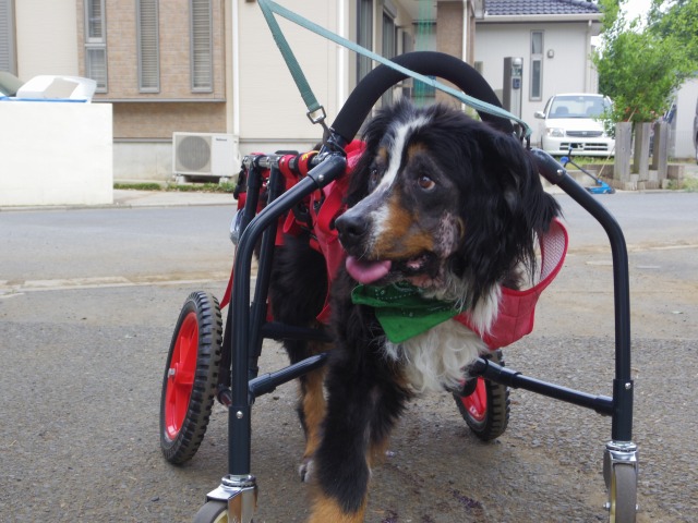 640×480-IMGP4012.jpg