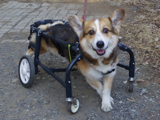 640×480-IMGP4103.jpg