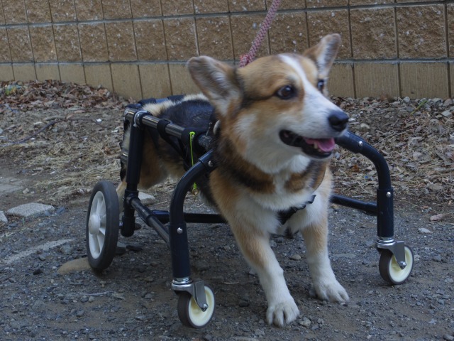 640×480-IMGP4105.jpg