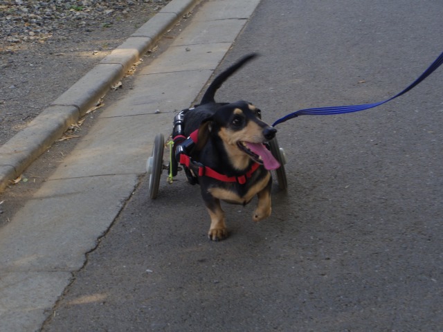 640×480-IMGP4113.jpg