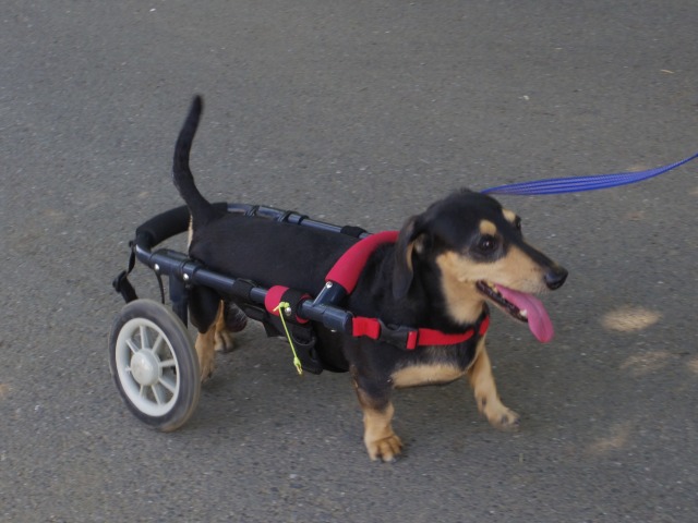 640×480-IMGP4115.jpg