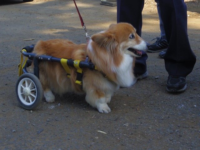 640×480-IMGP4121.jpg