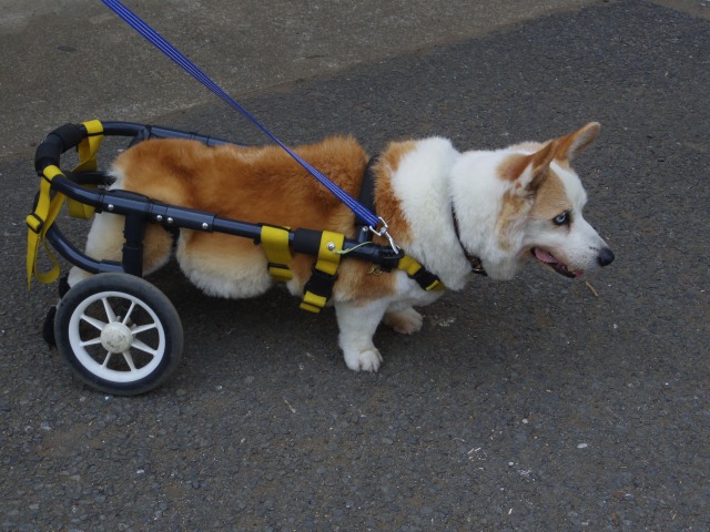 640×480-IMGP4139.jpg