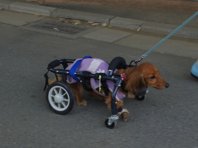 640×480-IMGP4153.jpg