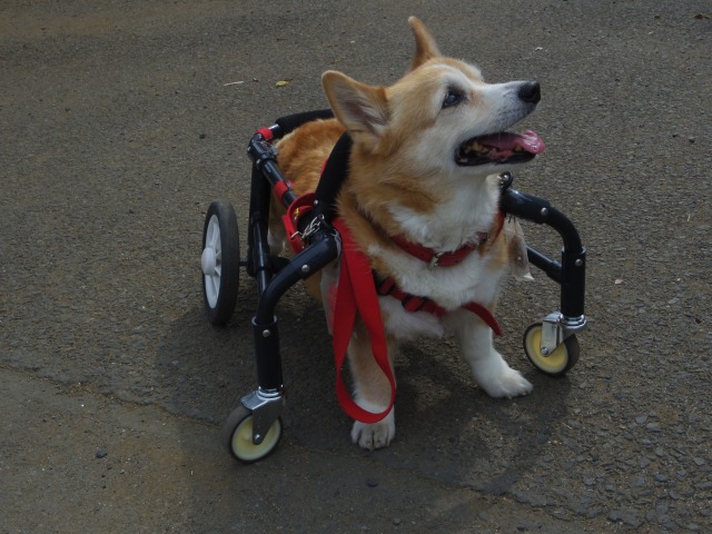 640×480-IMGP4170.jpg