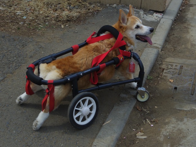 640×480-IMGP4172.jpg