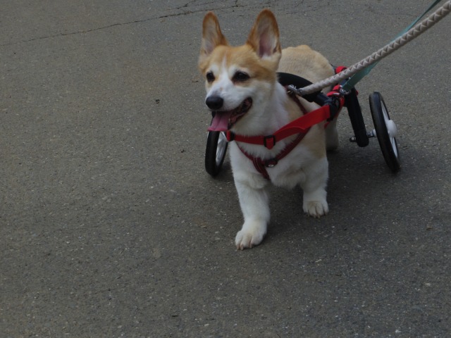 640×480-IMGP4219.jpg