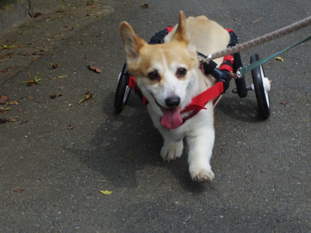 640×480-IMGP4225.jpg