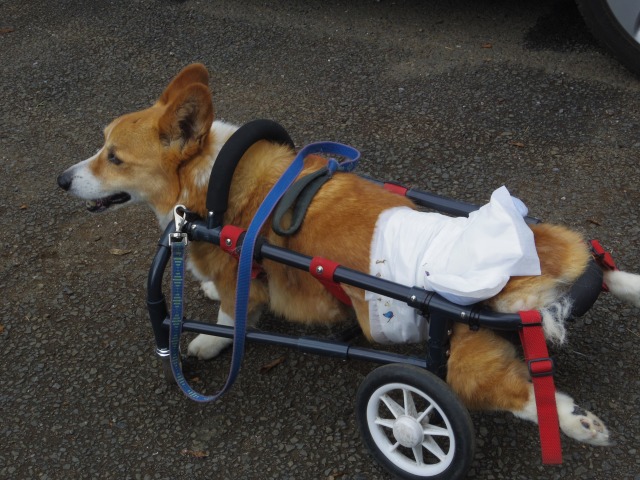 640×480-IMGP4238.jpg