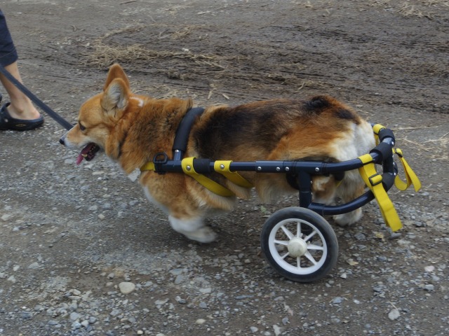 640×480-IMGP4247.jpg