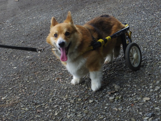 640×480-IMGP4249.jpg