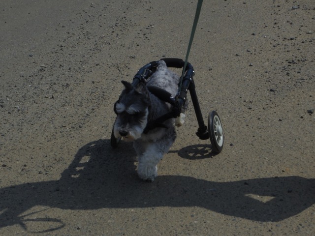 640×480-IMGP4268.jpg