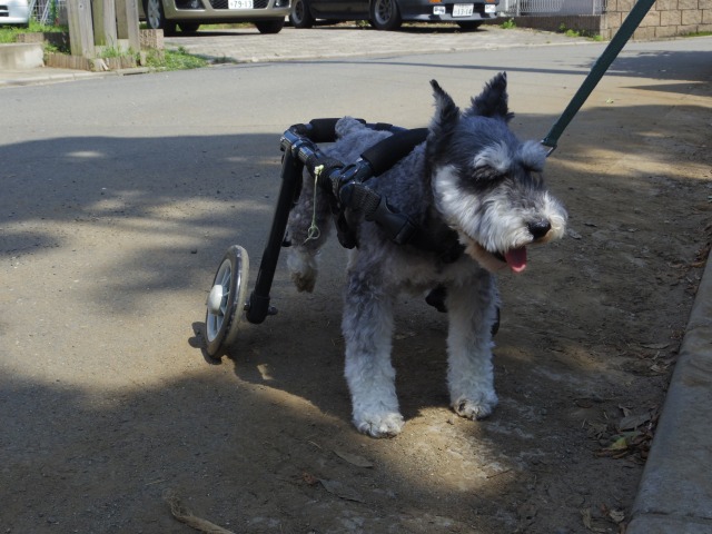 640×480-IMGP4275.jpg