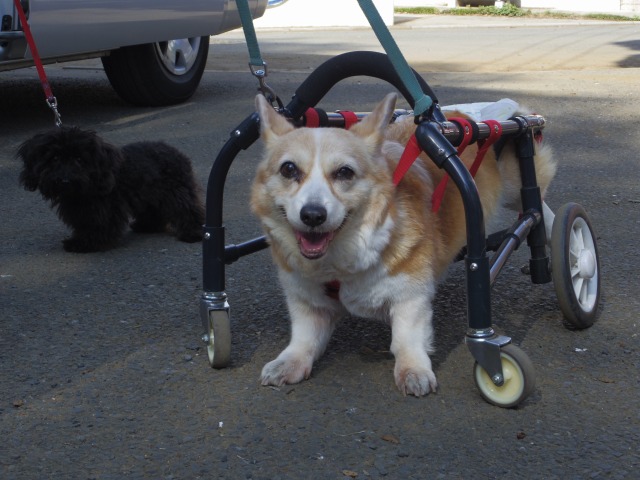640×480-IMGP4280.jpg